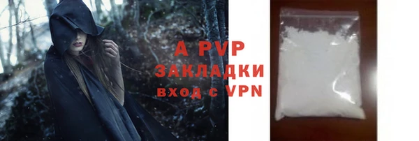 шишки Осташков
