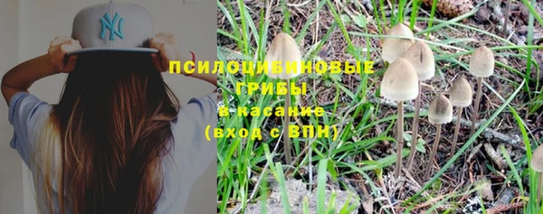 спайс Новокубанск