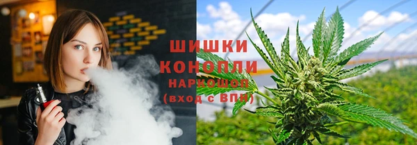 Альфа ПВП Новодвинск